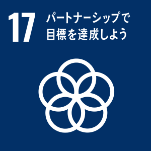 SDG 17: パートナーシップで目標を達成しよう（グローバル・パートナーシップを活性化する）