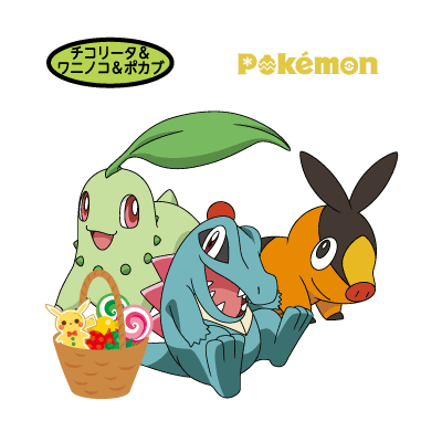 チコリータ&ワニノコ&ポカブ